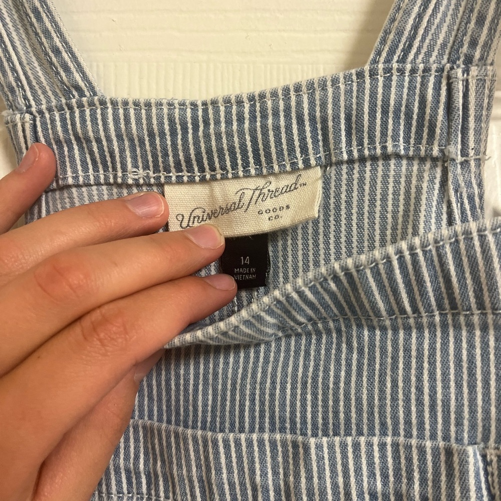 Pinstripe Universal Thread Overalls